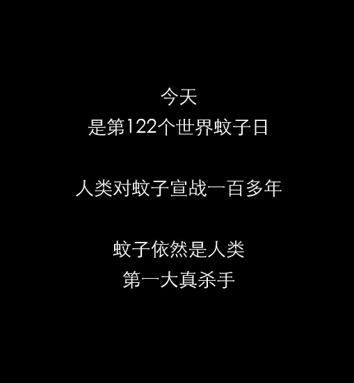 不開玩笑！今天是世！界！蚊！子！日！丨圖圖是道