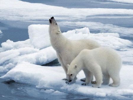 懶人包：關(guān)于巴黎氣候大會(huì)，這里有你想知道的一切