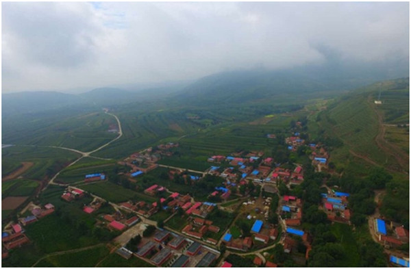 楊嶺村扶貧記：養牛路上奔小康