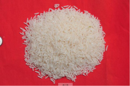 【網絡媒體走轉改】旅游+扶貧，新模式助力武陵源區脫貧摘帽