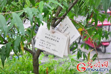 十八洞村電商扶貧出新招 農民直播賣土雞蛋