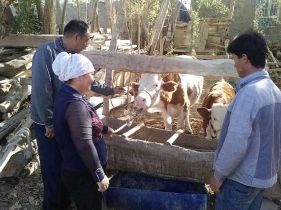 夯實(shí)扶貧地基，且末縣工作組精準(zhǔn)扶貧“回頭看”