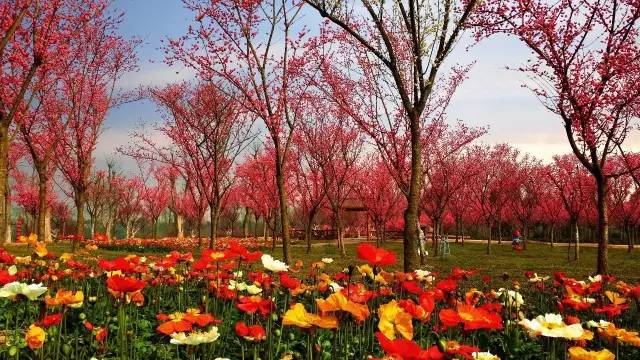 秀麗東方景區將舉辦