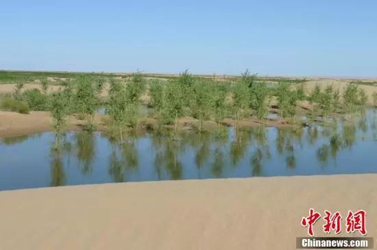 【聚焦】中國第七大沙漠治理：引黃河凌水“沙漠變綠洲”