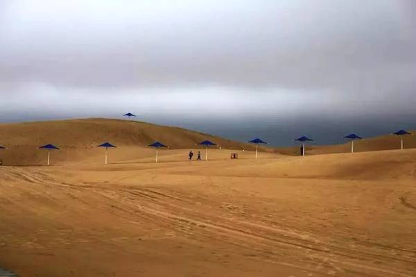 聚焦｜大漠變綠洲，庫布其走出一條綠色的旅游產業鏈