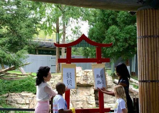 中美第一夫人共看熊貓！當中國牡丹遇到美國玫瑰