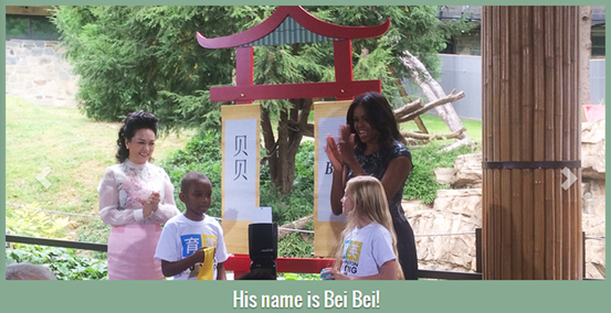 中美第一夫人共看熊貓！當中國牡丹遇到美國玫瑰